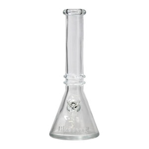 10 blueberry double ring soft glass beaker bong clear.jpg