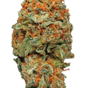 ak 47 weed strain.webp