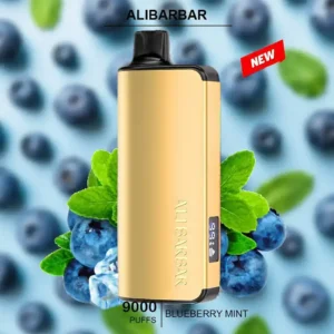 alibarbar ingot blueberry mint– 9000 puffs.webp
