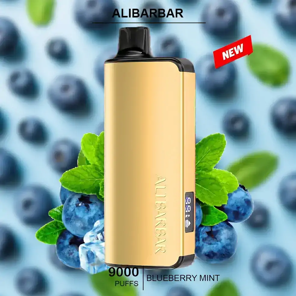 alibarbar ingot blueberry mint– 9000 puffs.webp alibarbar ingot blueberry mint– 9000 puffs.webp