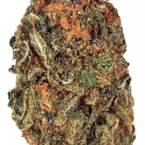 acapulco gold.webp