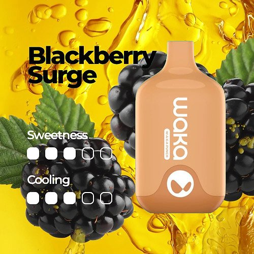 blackberry surge.jpg blackberry surge.jpg
