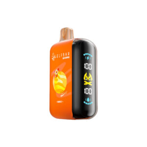 elfbar gh20000 burst disposable vape nic salts canada 2.jpg