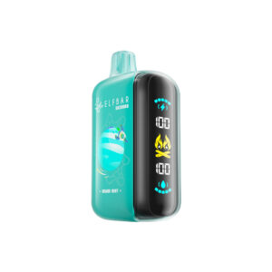 elfbar gh20000 miami mint disposable vape nic salts canada 2.jpg