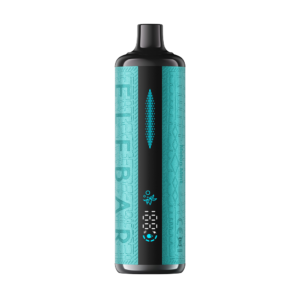 elfbar e shisha 30k melon mint disposable vape e liquid free shipping 1.png