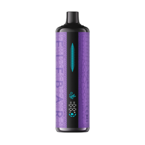 elfbar e shisha 30k puffs grape mint disposable vape nicotine sale canada 1.png