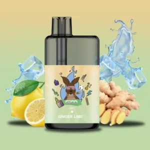 ginger lime.webp