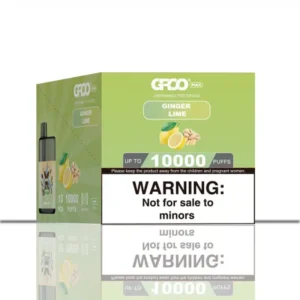 ginger lime 1 1.webp