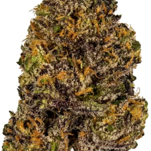grandy daddy purple.webp