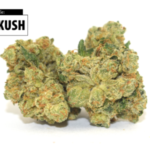 ogkush 01.webp