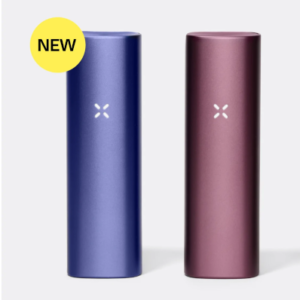 pax plus sm.png