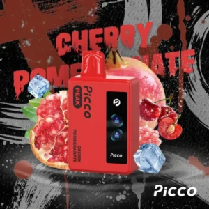 picco peak 6k 08 600x600 1.webp