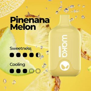 pinenana melon.jpg