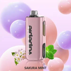 sakura mint 2.webp