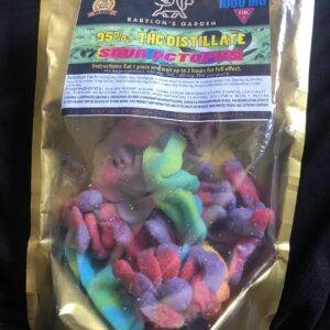 sour octopus thc gummies scaled 1.jpg