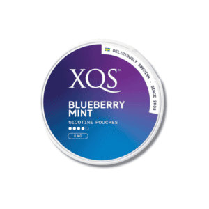 xqs blueberry mint 8mg nicotine pouches 1.png