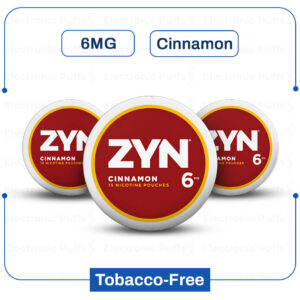 zyn 6 mg cinnamon 5ct.jpg