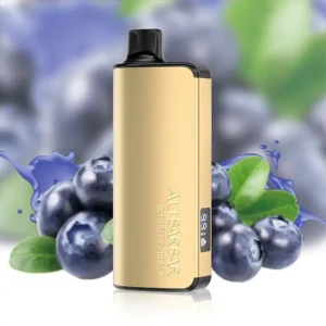 alibarbar ingot 9000 blueberry blast.webp