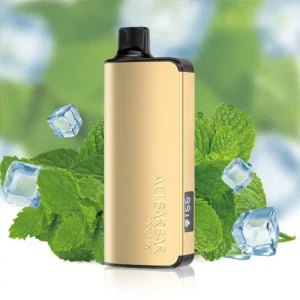 alibarbar ingot 9000 puffs cool mint 1.webp