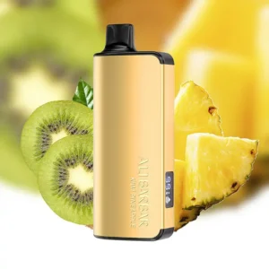 alibarbar ingot 9000 puffs kiwi pineapple 1.webp