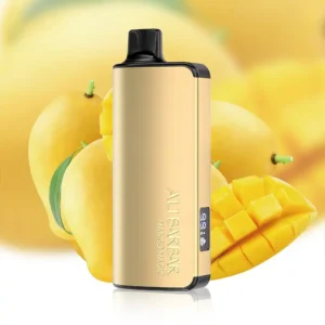 alibarbar ingot 9000 puffs mango magic 1.webp