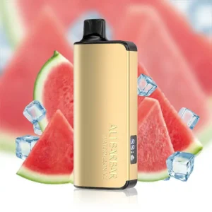 alibarbar ingot 9000 puffs watermelon ice 1.webp