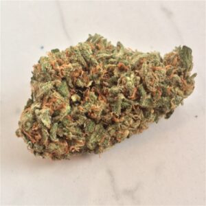 amnesia haze primary 4f34.jpg