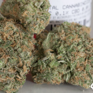 blued dream strain.jpg