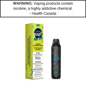 flavour beast fury disposables blessed blueberry mint iced disposable.jpg