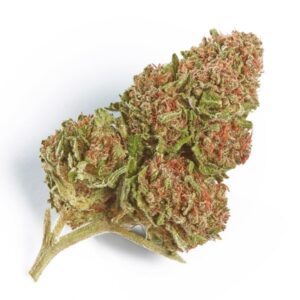 northern lights strain.jpg
