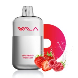 strawberry raspberry 1024x1024 1.jpg