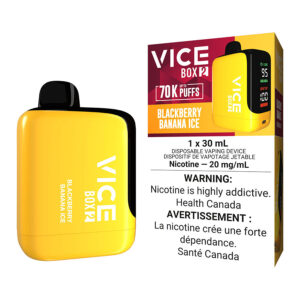 vice box 2 disposable vape device blackberry banana ice.jpg