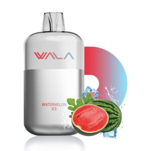 watermelon ice 1024x1024 1.jpg